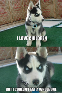 Insanity Puppy