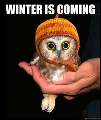 Imminent Ned / Brace Yourselves, X is Coming