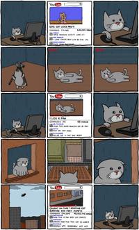 LOLcats