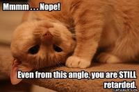 LOLcats