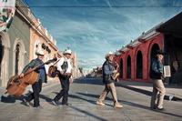 Abbey Road Parodies