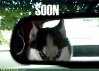 SOON