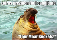 Lolrus