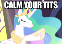 Calm Your Tits