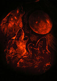 Three Wolf Moon