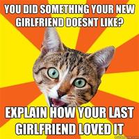Bad Advice Cat