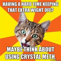 Bad Advice Cat
