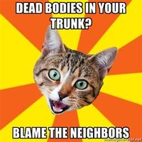 Bad Advice Cat