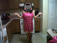 Nyan Cat / Pop Tart Cat