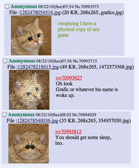 Starecat / Grafics Cat