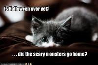 LOLcats