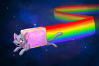 Nyan Cat / Pop Tart Cat