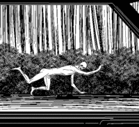The Rake