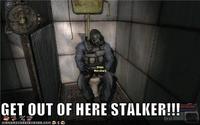"Get Out Of Here Stalker!"