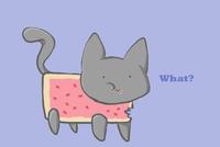 Nyan Cat / Pop Tart Cat