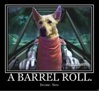 Do A Barrel Roll