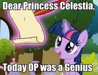 Pony Reactions