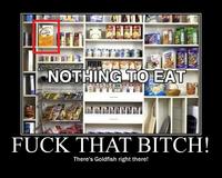 Demotivational Posters