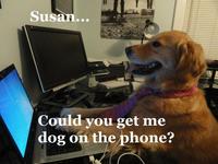 Yes, This is Dog
