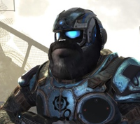 Dom's Beard