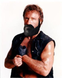 Dom's Beard