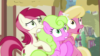 My Little Pony Character Fandom
