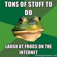 Foul Bachelor Frog