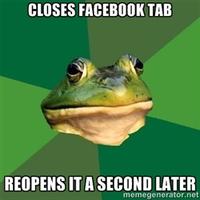 Foul Bachelor Frog