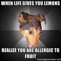 Depression Dog