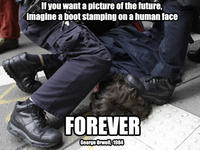 Occupy Wall Street