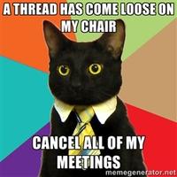 Business Cat