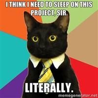 Business Cat