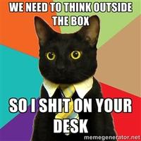 Business Cat