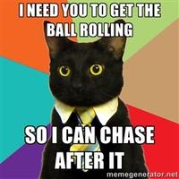 Business Cat