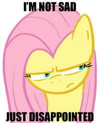Pony Reactions
