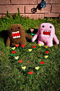 Domo