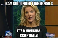 Megyn Kelly Essentially