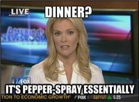 Megyn Kelly Essentially