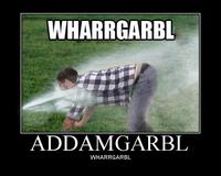 WHARRGARBL / Sprinkler Dog