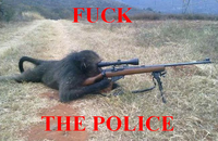 Fuck the Police