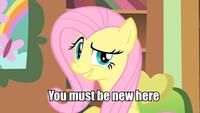 You Must Be New Here
