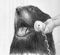 Yes, This is Dog