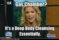 Megyn Kelly Essentially