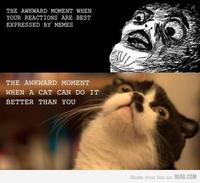 Oh Crap / OMG Rage Face