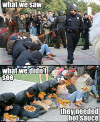 Casually Pepper Spray Everything Cop
