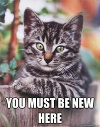 You Must Be New Here
