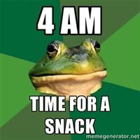 Foul Bachelor Frog