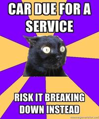 Anxiety Cat