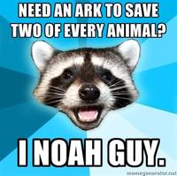 Lame Pun Coon