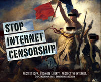 Protect IP Act / Stop Online Piracy Act